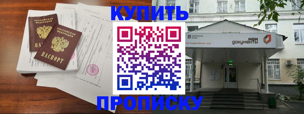 прописка для школы в Химках